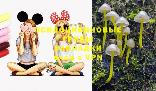 мдма Каменка